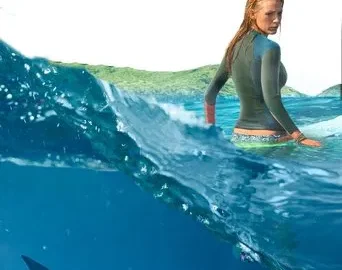 The Shallows (2016) Hindi Dubbed The Shallows (2016) Hindi Dubbed
