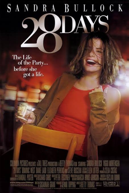 28 Days (2000) Hindi Dubbed